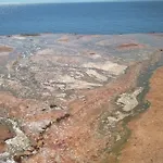 Palatino לאוטרה אדיפסאו