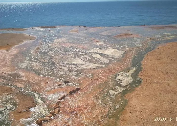 Palatino Λουτρά Αιδηψού