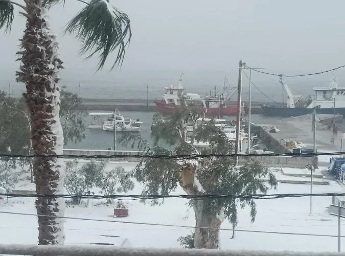 Palatino Λουτρά Αιδηψού